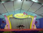DSC00538
