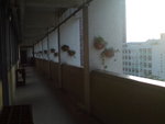 DSC03449