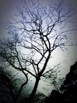7 April  2010 039