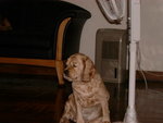 Image033