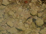 DSCF3422