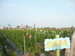 P1000654