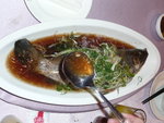 P1010253
