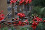 IMG_7833