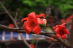 IMG_7839