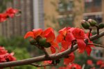 IMG_7842