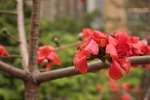 IMG_7845