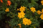 IMG_7849