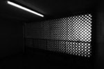 IMG_7944