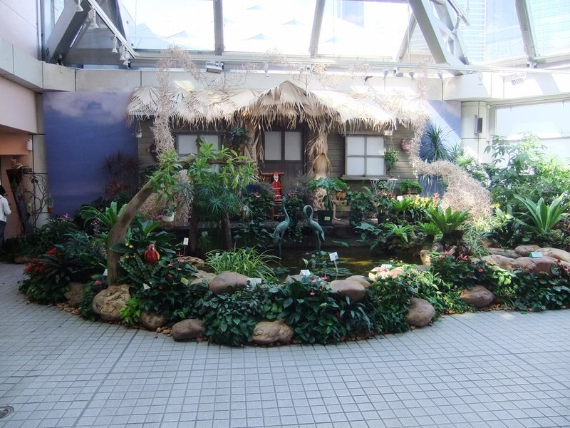 香港公園 (Hong Kong Park) 29 photo sharing network