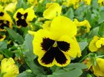IMG_0495