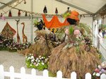 IMG_0552