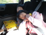 IMG_0311 (2)
