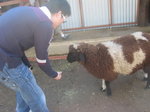 IMG_0232 (2)