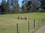 IMG_0233 (2)