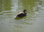 IMG_0356