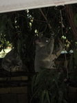 IMG_0405
