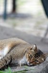 IMG_0050