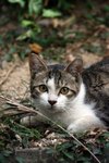 IMG_0057
