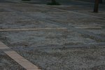 IMG_0128