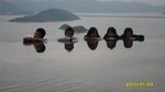 SAM_0423