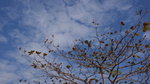 DSC00125