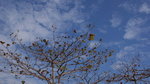 DSC00126
