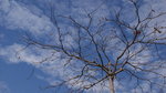 DSC00132
