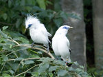 DSC_0210_1_1