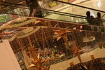 IMG_1543_1