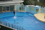 IMG_1922_1