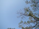 tn_DSC03177  天氣--晴