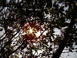 tn_DSC03192