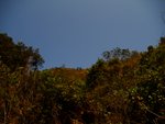 tn_DSC03195