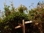 tn_DSC03204