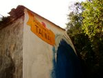tn_DSC03368