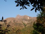 tn_DSC03370