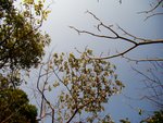 tn_DSC03374