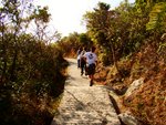 tn_DSC03376