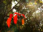 tn_DSC03386