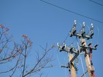 tn_DSC03391