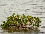 tn_DSC03393