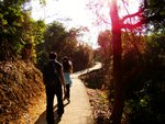 tn_DSC03407