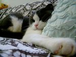 tn_DSC03099