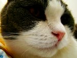 tn_DSC03143