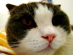 tn_DSC03144