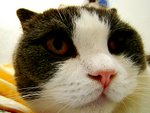tn_DSC03145