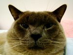 tn_DSC03146