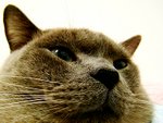 tn_DSC03147