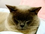 tn_DSC03148